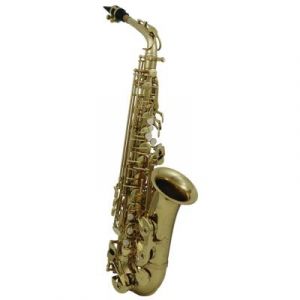 Saxophones ROY BENSON SAXOPHONE ALTO D'ETUDE AS-202 (VERNI)  Saxophone Alto &eacute;tude