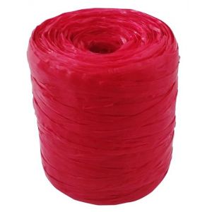 Raphia synthétique rouge 40 g - graine créative