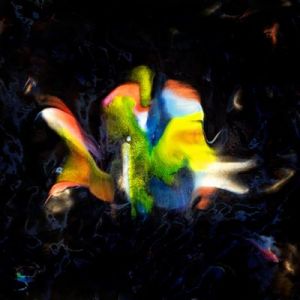 Contrebande 02 Le disque de l'&eacute;t&eacute;