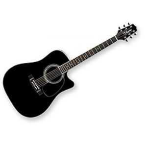 Takamine EF341SC
