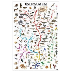 Art imprimé Arbre de vie 91,5 cm x 61 cm
