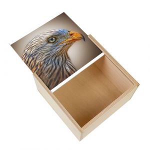 Boite Coffret en Bois - Fabulous - Milan Royal Aigle Magnifique (11 x 11 x 3,5 cm)