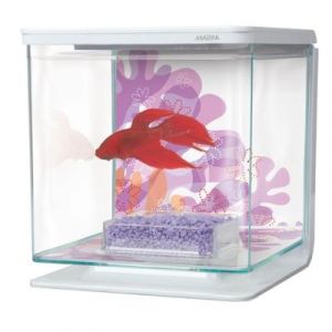 Aquarium &eacute;quip&eacute; marina pour betta fleurs
