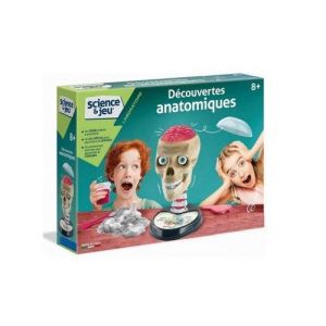 Laboratoire jeu decouvertes anatomiques corps humain - maquette squelette crane - coffret science - enfant 8 ans et plus