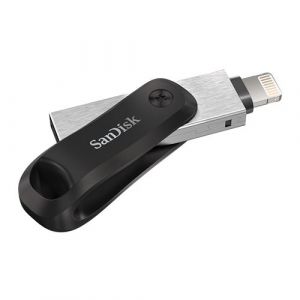 Clé USB SanDisk iXpand Flash Drive Go 256 Go Gris