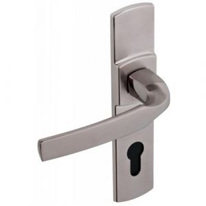Ensemble de porte sur plaque Artis BEZAULT Entraxe 165mm - Inox brossé - Bec de cane WC - 865254