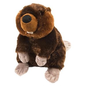 Wild Republic castor junior 30 cm en peluche marron