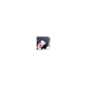 Power corruption and lies