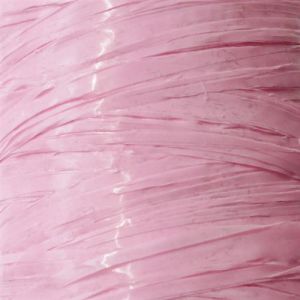 Raphia synthétique rose 40 g - graine créative