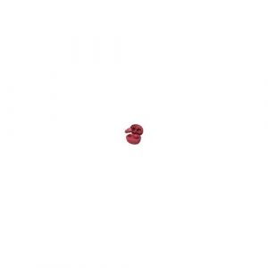 Ecouteurs Bluetooth 5.1 - JVC Gumy Mini - Rouge