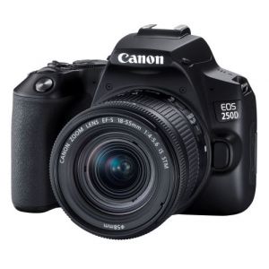 Canon EOS 250D - Appareil photo numérique - Reflex - 24.1 MP - APS-C - 4K / 25 pi/s - 3x zoom optique objectif EF-S 18-55 mm III - Wi-Fi, Bluetooth - noir