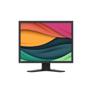 EIZO FlexScan S2134 - &Eacute;cran LED - 21.3" - 1600 x 1200 @ 60 Hz - IPS - 500 cd/m&sup2; - 1600:1 - 6 ms - DVI-D, VGA, DisplayPort - noir