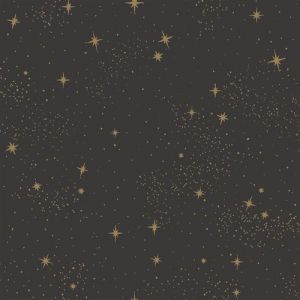 ROOMMATES Papier peint auto-adh&eacute;sif - Fond Noir &Eacute;toil&eacute;s - 5.75 m x 45 cm