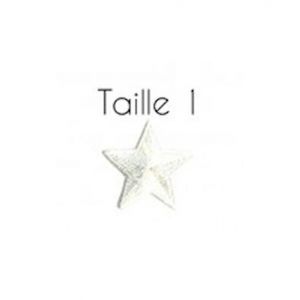 Ecusson Thermocollant Etoile 3,5 X 3,5 cm - Taille 1 - Mediac(...) - Blanc