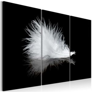 Tableau Petite plume-Taille L 60 x H 40 cm