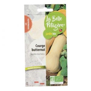 Graines &agrave; semer - Courge butternut - 2,5 g