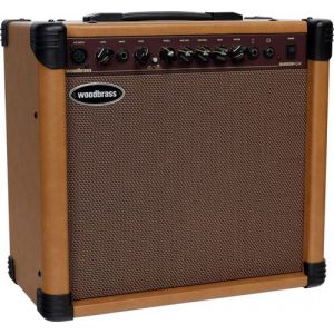 Ampli &eacute;lectro-acoustique Woodbrass BARROW 40W