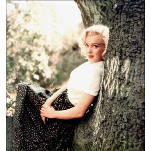 Fabulous Poster Marilyn monroe foret (31cm x 34cm)