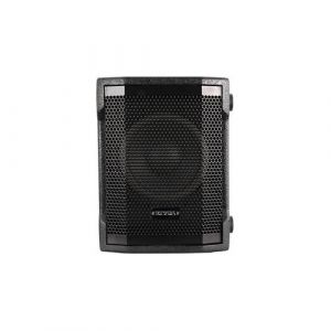Caisson de basse actif Definitive Audio Instasub 10A - Subwoofer Actif Bois HP10