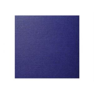 Exacompta Forever - Carton - A4 (210 x 297 mm) - bleu fonc&eacute; - 270 g/m&sup2; - 100 unit&eacute;s emballage de rames en poly - couverture &agrave; reliure