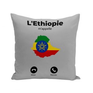 Fabulous Housse de coussin gris L'Ethiopie M'Appelle Drapeau [40x40 cm]