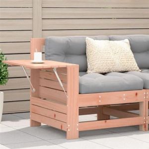 vidaXL Canap&eacute; de Jardin Accoudoir avec Coussin, Si&egrave;ge avec Dossier, Fauteuil de Terrasse Patio Arri&egrave;re-cour Ext&eacute;rieur, Bois 844917