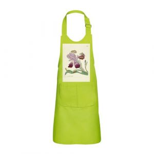 Fabulous Tablier Cuisine Enfant 2 Poches Vert Iris Papillons Chenilles Illustration Botanique - Haut de gamme