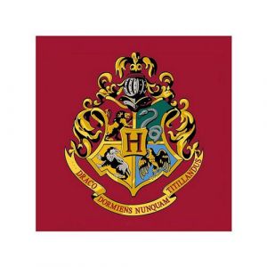 ARGOFIELD Tapis Carr&eacute; Harry Potter Logo Poudlard - 80 x 80 cm
