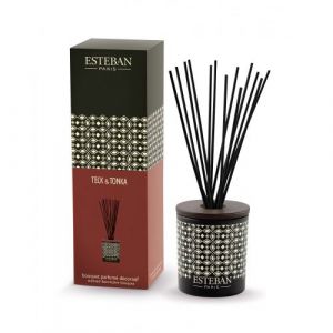 Bouquet parfum d&eacute;coratif avec recharge Esteban Teck et Tonka 100 ml