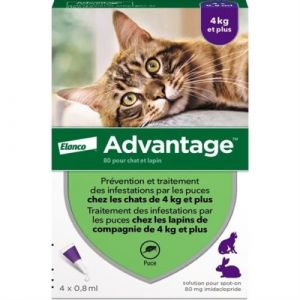 ADVANTAGE Solution Antipuce Chat Lapin  4kg 4 pipettes