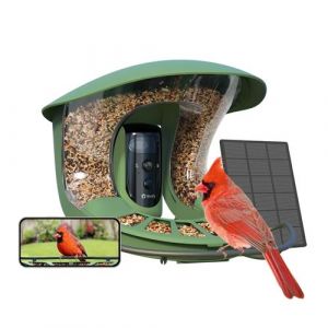 Pro 2 Lite Mangeoire Birdfy Connectée avec Panneau Solaire, Caméra et Reconnaissance d'Oiseau par IA