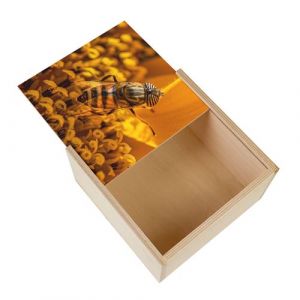 Boite Coffret en Bois - Fabulous - Insecte Volant Butine Polen (11 x 11 x 3,5 cm)