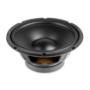 Fenton WPP25 - Haut-Parleur de Graves, Cône 10 Pouces (25 cm), 250 Watts, 8 Ohms