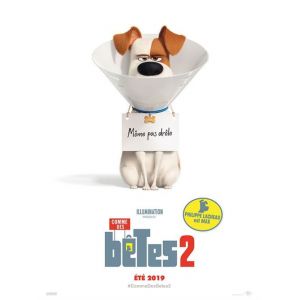 Comme Des Bêtes 2 - 2019 - Chris Renaud - 40x60cm - Affiche de cinéma originale pliée