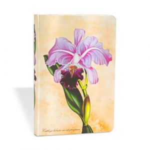 Carnet non ligné Paperblanks Orchidée brésilienne Mini