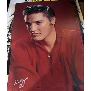 Affiche de concert originale - Elvis Presley - RCA PROMO - 39x58cm
