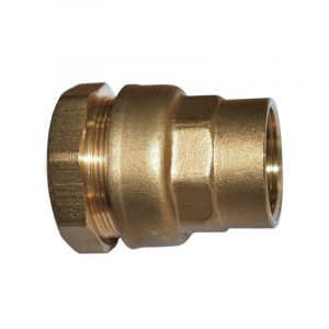 Raccord droit laiton pour tube poly&eacute;thyl&egrave;ne (pe) raccord femelle 40x49 / &oslash; 50 mm - laiton 1 pi&egrave;ce(s) laiton 50 mm 40/49 (1"1/2) femelle - boutte