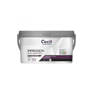 Impression plaque de pl&acirc;tre expert ip55 nouveau format supports neufs ou sains int&eacute;rieur soign&eacute; eau blanc 10 m&sup2;/l 6 heure(s) 1 pot(s) de 10 litre(s) a