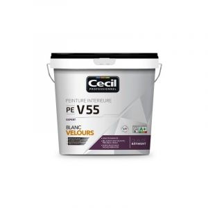 Peintures blanc velours expert pe v55 peinture blanc velours expert pe v55 supports neufs ou sains intérieur acrylique brosse/rouleau, pistolet sans a