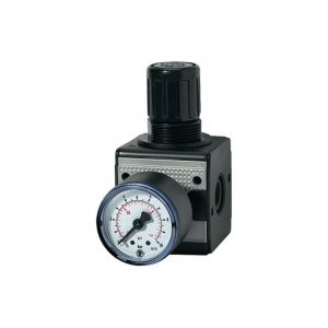 R&eacute;gulateur de pression multifix riegler 1 pi&egrave;ce(s) r&eacute;gulateur de pression multifix filetage mm 19,17 - riegler