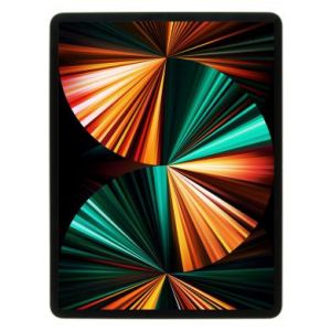 Apple iPad Pro 12,9" WiFi + Cellular 2021 1To argent - bon &eacute;tat - extras