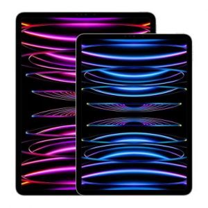 Apple iPad Pro 12,9" Wi-Fi + Cellular 2022 256Go argent - tr&egrave;s bon &eacute;tat - extras