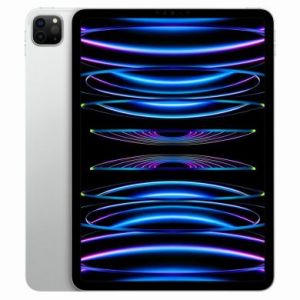 Apple iPad Pro 11" Wi-Fi + Cellular 2022 512Go argent - comme neuf - extras