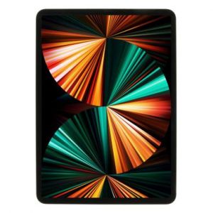 Apple iPad Pro 11" Wi-Fi + Cellular 2021 1To argent - bon &eacute;tat - extras