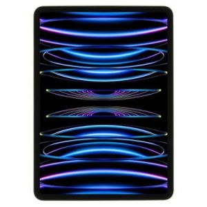 Apple iPad Pro 11" Wi-Fi 2022 256Go argent - tr&egrave;s bon &eacute;tat - extras