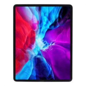 Apple iPad Pro 12,9" Wi-Fi + Cellular 2020 256Go argent - tr&egrave;s bon &eacute;tat - extras