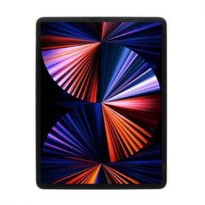 Apple iPad Pro 12,9" WiFi 2021 1To gris sid&eacute;ral - tr&egrave;s bon &eacute;tat - extras