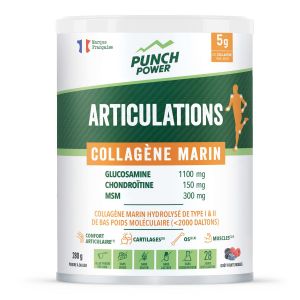 Compl&eacute;ment Alimentaire Articulaire Collag&egrave;ne Marin Poudre 280g PUNCH POWER