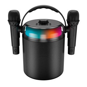 Karaoké sans fil 2 micros KOOLSTAR