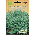 Germisem Bio Graines Thym d'hiver THYMUS VULGARIS